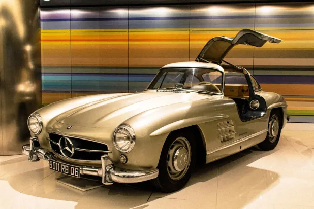 جنغلي وين كازينو تطبيق أندرويد/آي أو إس